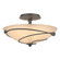 Leaf Two Light Semi-Flush Mount in Natural Iron (39|126712-SKT-20-SS0048)