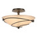 Leaf Two Light Semi-Flush Mount in Bronze (39|126712-SKT-05-SS0048)