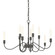 Lisse Ten Light Chandelier in Natural Iron (39|106030-SKT-20)