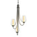 Flora Flora 3 Arm Chandelier in Natural Iron (39|103033-SKT-20-ZS0354)
