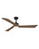 Sculpt 60''Ceiling Fan in Matte Black (13|903660FMB-LDD)