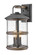 Lakehouse LED Wall Mount in Aged Zinc (13|2685DZ)