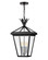 Palma LED Hanging Lantern in Black (13|26092BK)