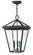 Alford Place LED Hanging Lantern in Oil Rubbed Bronze (13|2562OZ)