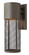 Aria LED Wall Mount in Buckeye Bronze (13|2300KZ)