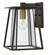 Walker LED Wall Mount in Buckeye Bronze (13|2100KZ)