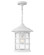 Freeport Coastal Elements LED Hanging Lantern in Textured White (13|1862TW)