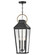 Dawson LED Hanging Lantern in Black (13|17502BK)