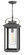 Atwater LED Hanging Lantern in Ash Bronze (13|1162AH)