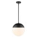 Dixon One Light Pendant in Matte Black (62|3218-L BLK-BLK)