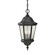 Martinsville Three Light Outdoor Pendant in Black (1|OL5911EN/BK)