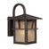 Medford Lakes One Light Outdoor Wall Lantern in Statuary Bronze (1|88880-51)