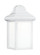 Mullberry Hill One Light Outdoor Wall Lantern in White (1|8788-15)