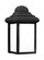 Mullberry Hill One Light Outdoor Wall Lantern in Black (1|8788-12)