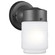 Outdoor Wall One Light Outdoor Wall Lantern in Black (1|8550001-12)