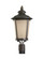 Cape May One Light Outdoor Post Lantern in Burled Iron (1|82240EN3-780)