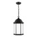 Sevier One Light Outdoor Pendant in Black (1|6238751-12)