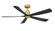 Kute5 52 52'' Ceiling Fan in Brushed Satin Brass (26|FPD5534BSBL)