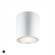 Cask LED Ceiling Mount in White (40|34328-019)