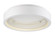 iCorona FoH LED Flush Mount in Matte White (86|E35001-MW)