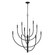 Continuance Ten Light Chandelier in Charcoal (45|82029/10)