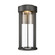 Brillis LED Outdoor Wall Sconce in Matte Black (45|69631/LED)