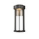 Brillis LED Outdoor Wall Sconce in Matte Black (45|69630/LED)