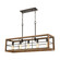 Warehouse Window Five Light Linear Chandelier in Oil Rubbed Bronze (45|33316/5)