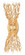 Sea Fan Two Light Wall Sconce in Gold Gilt (142|5000-0200)