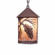 Cascade Lantern-Spruce Cone One Light Pendant in Rustic Brown (172|M24540AL-CH-27)
