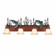 Denali-Trout Four Light Bath Vanity Light in Rust Patina (172|H32481AS-05)