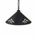 Canyon Black Iron One Light Pendant in Black Iron (172|A24402CH-97)