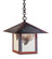 Evergreen One Light Pendant in Rustic Brown (37|EH-16HFGW-RB)