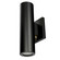 Spektrum Smart Sconce Up/Down Head in Black (303|SPKPL-VLTD-RGBTW-BK)