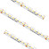 High Output High Output High Density Warm to Dim Tape Light in White (303|HTLWD-3018-16)