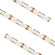 High Output HD High Output Trulux in White (303|HTLHD-WH-16)