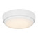 Universal LED Ceiling Fan Light Kit in Matte White (71|MC264RZW)