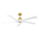 Aspen 56'' Ceiling Fan in Burnished Brass (71|5ASPR56BBS)