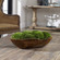 Kinsale Centerpiece in Natural Teak Wood (52|60180)