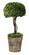 Preserved Boxwood Preserved Boxwood in Mossy Stone (52|60095)