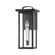 Eden One Light Outdoor Wall Sconce in Texture Black (67|B7521-TBK)