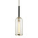 Aeon One Light Pendant in Textured Black (67|F6273-TBK/PN)