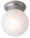 Dash One Light Flushmount in Brushed Nickel (110|3606 BN)