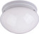 Essentials - 588x Two Light Flush Mount in White (16|5881WTWT)