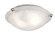 Constellation Two Light Flushmount in Brushed Nickel (110|58600 BN)