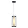Adler One Light Outdoor Hanging Lantern in Black (110|51464 BK)