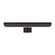 Hull Two Light Picture Light in Aged Iron (454|CW1332AI)