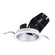 4In Fq Downlights LED Adjustable Trim in Haze/White (34|R4FRAT-935-HZWT)