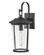 Banks LED Wall Lantern in Black (531|82024BK)