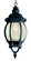 Parsons One Light Hanging Lantern in Black (110|4065 BK)